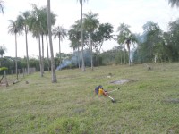 /album/fotogaleria/p1090142-jpg/