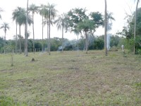 /album/fotogaleria/p1090143-jpg/