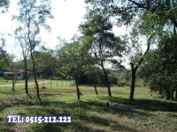 /album/fotogaleria/dsc01616-jpg/