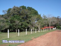/album/fotogaleria/dsc02215-jpg/