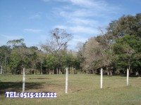 /album/fotogaleria/dsc03130-jpg/