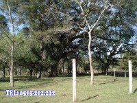 /album/fotogaleria/dsc03131-jpg/