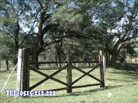 /album/fotogaleria/dsc03133-jpg/