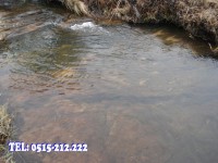 /album/fotogaleria/dsc05592-jpg/